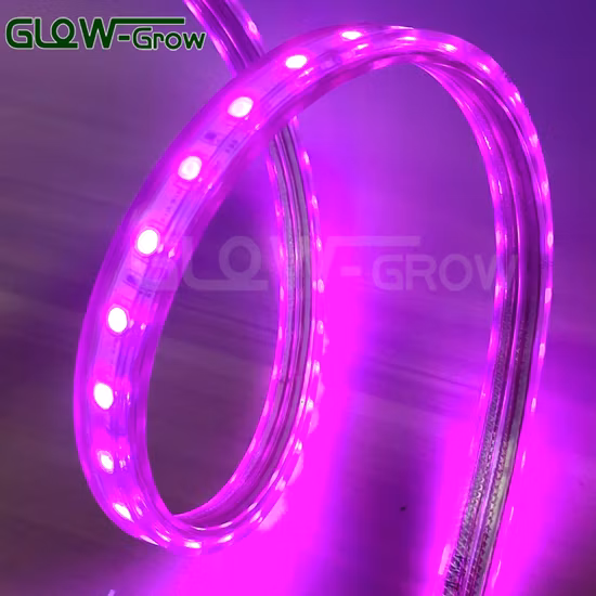 Tira de luz LED de alto voltaje de un solo color 72LEDs/M SMD2835 para la decoración del Club del hogar de la barra de Navidad