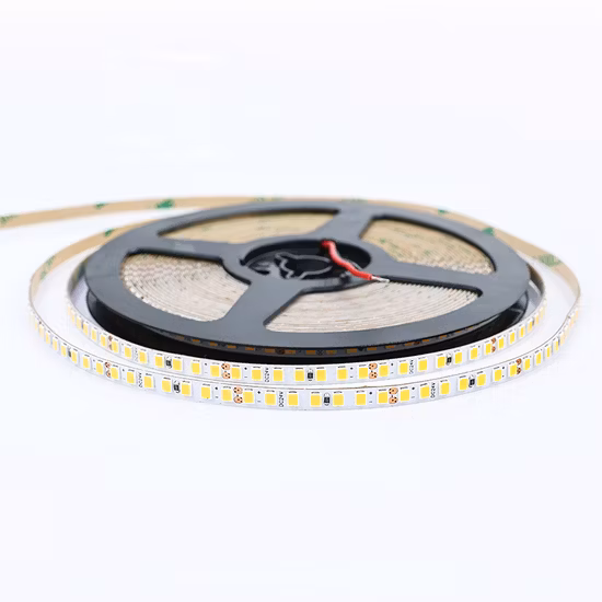 230V 110V 48V 24V Tira de LED direccionable 2835 Ws2811 Ws2812b Ws2813 Tira de LED direccionable flexible impermeable
